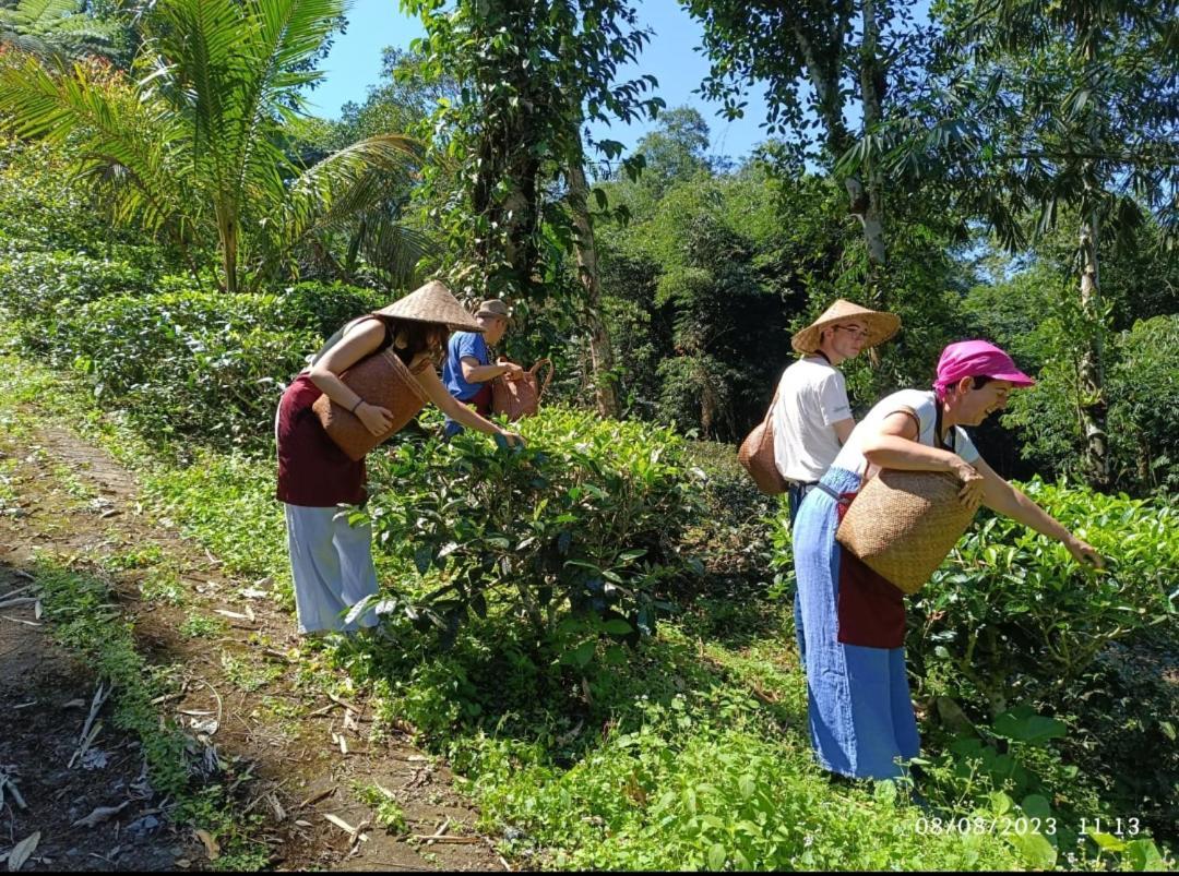 Dwan Tea Mountain Side Acomodação com café da manhã Jatiluwih Exterior foto