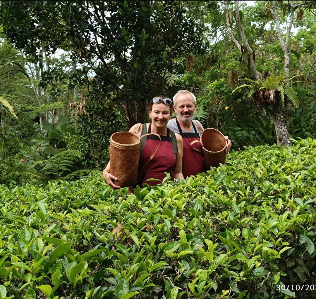 Dwan Tea Mountain Side Acomodação com café da manhã Jatiluwih Exterior foto