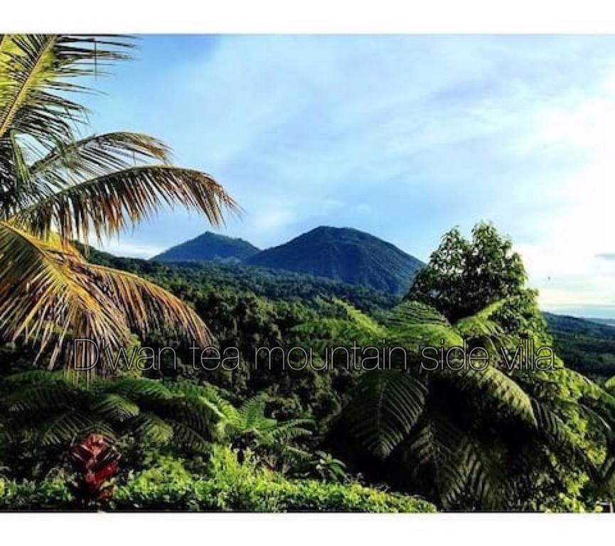 Dwan Tea Mountain Side Acomodação com café da manhã Jatiluwih Exterior foto